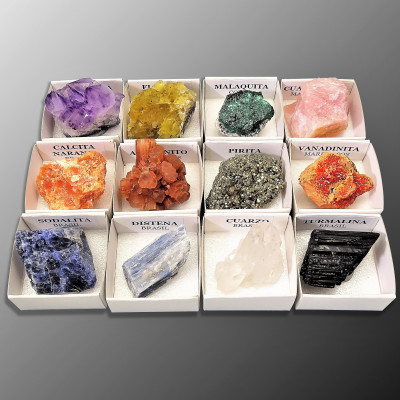 Colección de 12 Minerales en caja de madera