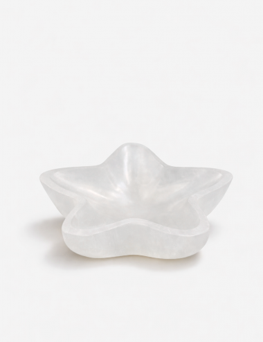 Bol de selenita natural en forma de estrella – pieza decorativa