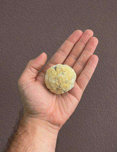 Geoda de Cuarzo Cristal de roca pequeña abierta - En mano